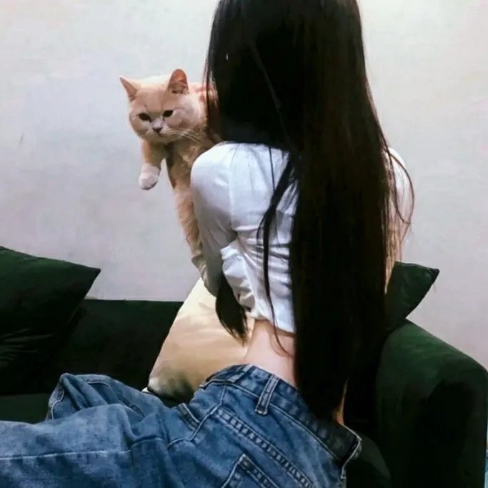 姐妹情谊