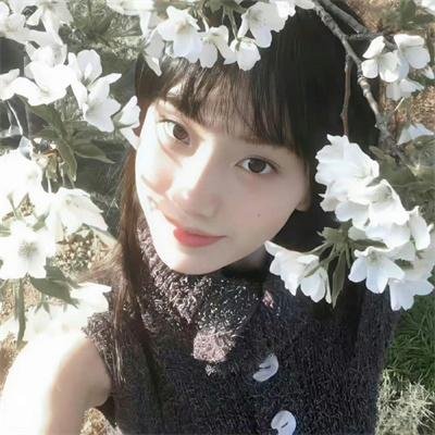 战争回响