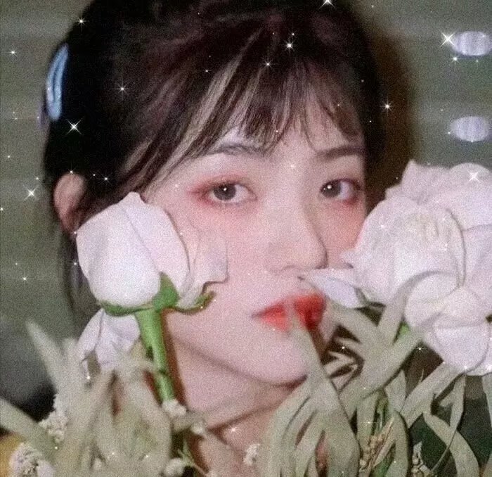 火线姐妹